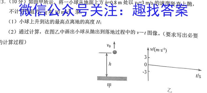 湖南省2024届高三年级上学期12月联考q物理