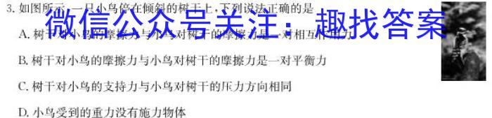 吉林省牡丹江二中2023-2024学年度第一学期高一学年12月月考考试(9091A)q物理