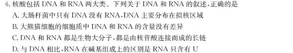 2024年普通高等学校招生全国统一考试仿真模拟卷(一)生物