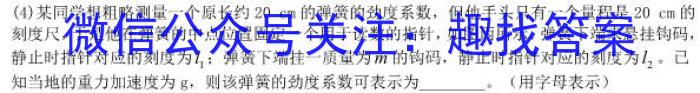 A佳教育·2023年11月高三联考l物理