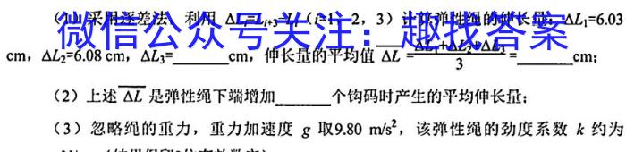 山西省2024届九年级阶段评估(二) 3L R物理`