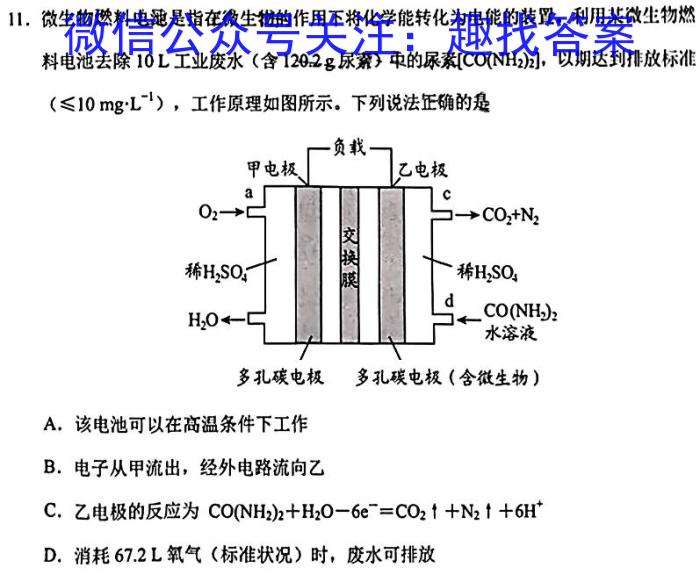 f2024年普通高等学校招生全国统一考试（河北）化学