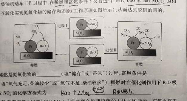 1重庆市2023-2024学年度高一年级12月联考化学试卷答案