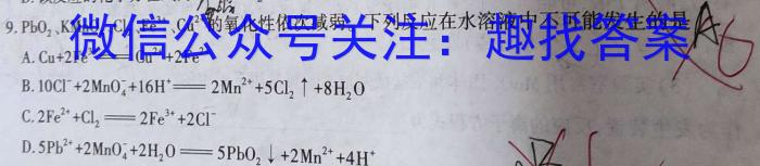 j青海、宁夏2024届高三年级上学期12月联考化学试卷答案