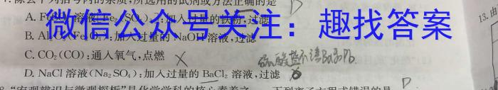 3安徽省2024届九年级阶段评估(二)3L R化学试题