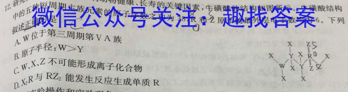 q河北省2023年NT20名校联合体高一年级12月考试化学