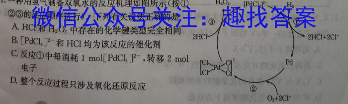 q贵州省三新联盟校高一年级2023年11月联考化学