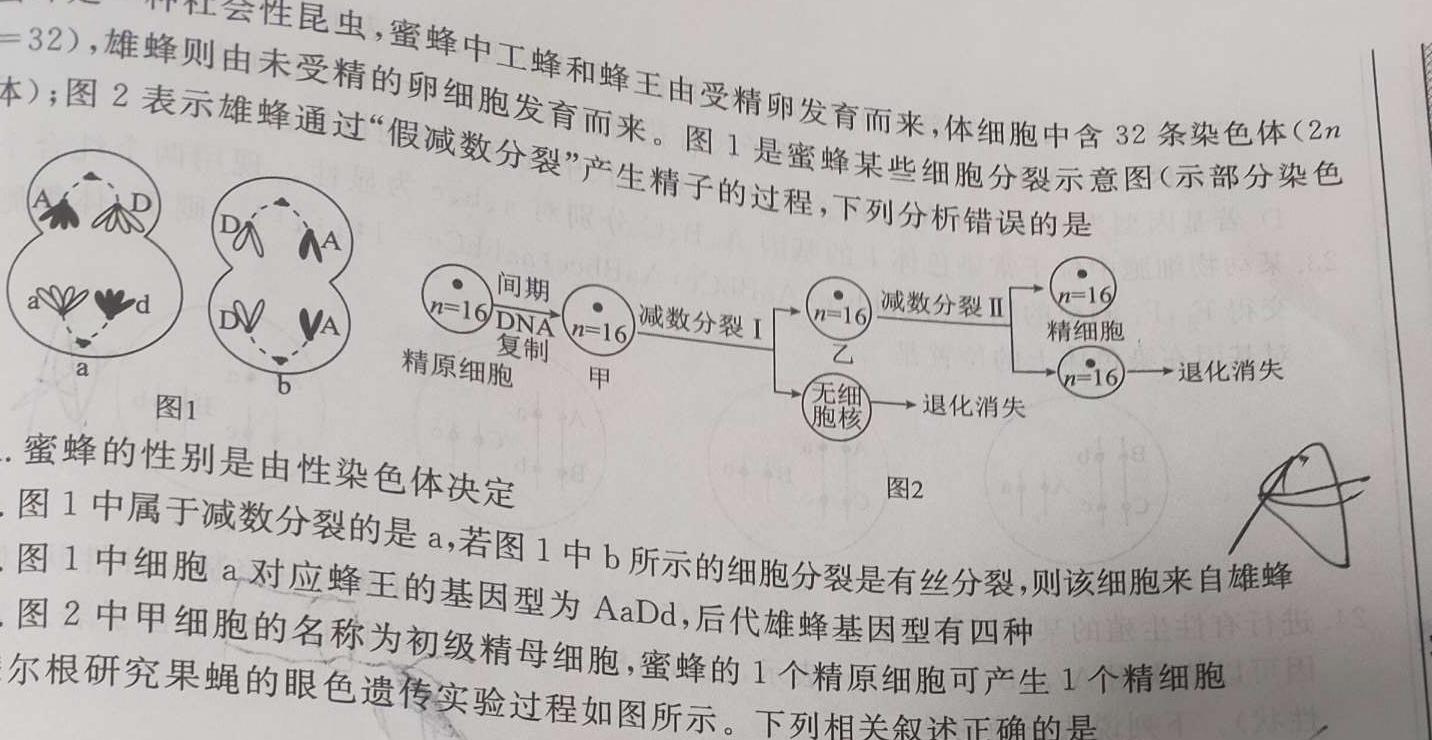 2023~2024学年度高二高中同步月考测试卷 新教材(四)生物学部分