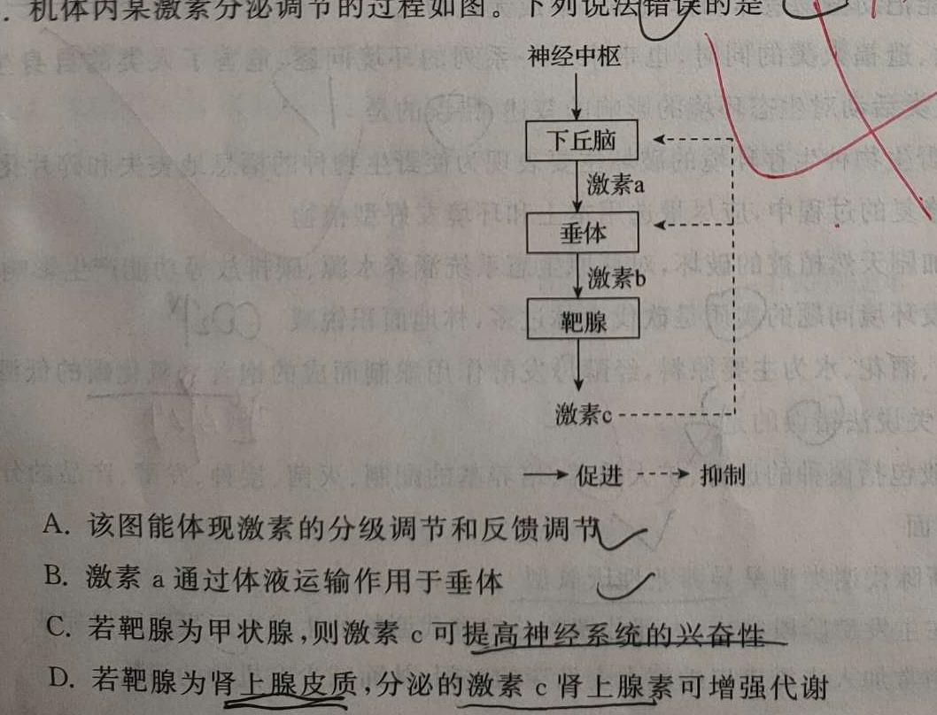 广东省2024届高三上学期第三次六校联考生物学部分