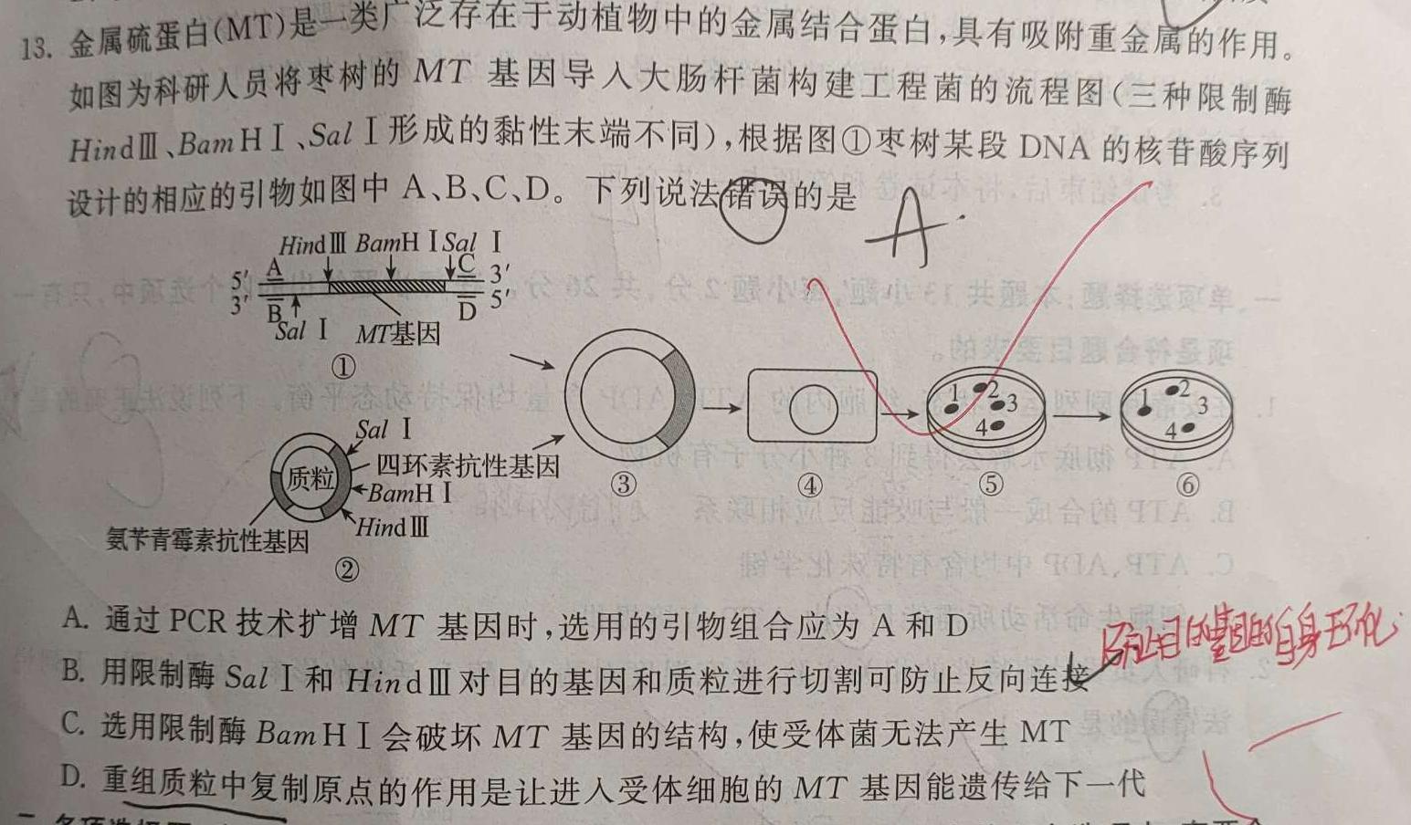 广东省2023-2024学年佛山高三年级15校联盟12月联考生物