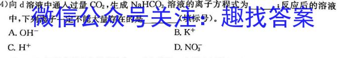 j2024年普通高等学校招生统一考试 最新模拟卷(四)化学试卷答案