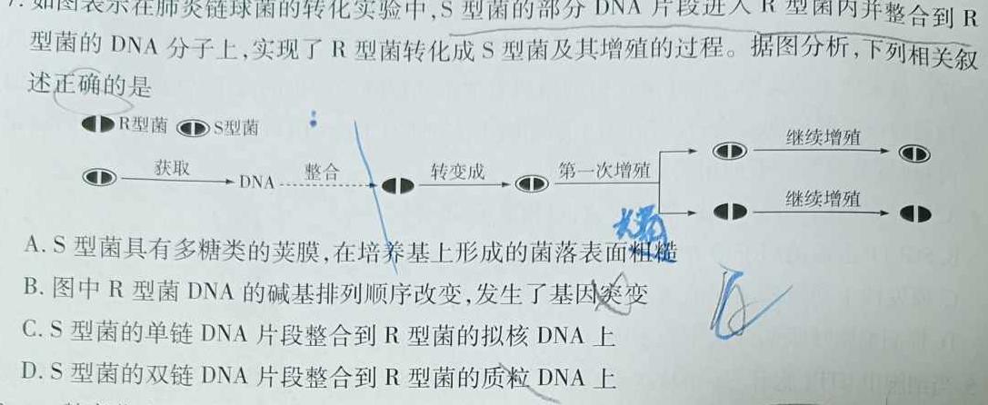 2024届衡水金卷先享题分科综合卷 新教材B二生物学部分