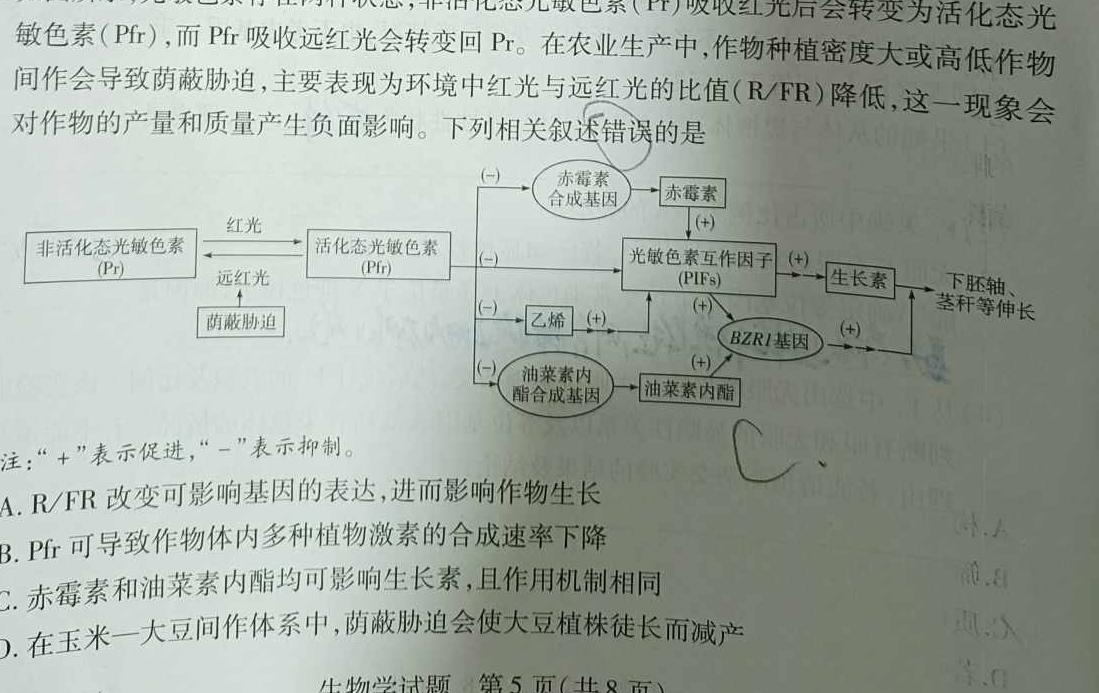 广东省2024届普通高中毕业班第二次调研考试（粤光联考）生物学部分