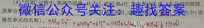 3陕西省2023秋季七年级第二阶段素养达标测试（B卷）巩固卷化学试题