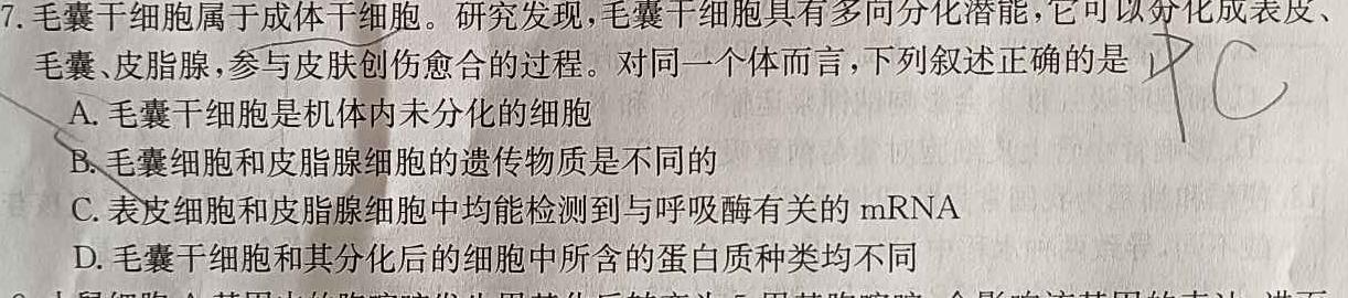 山西省2023-2024学年度九年级阶段第三次月考（C）生物