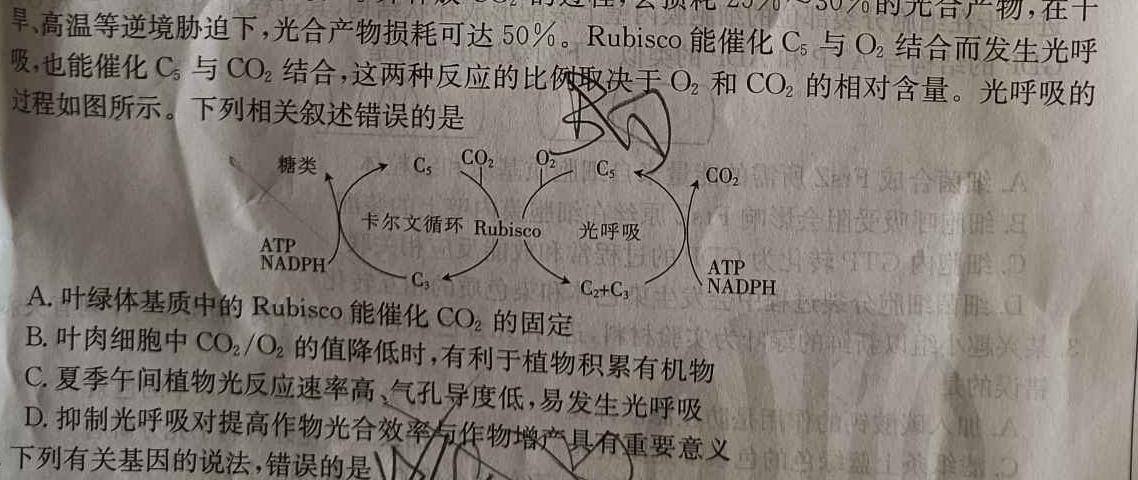 安徽省阜阳市2023-2024学年度九年级第三次月考检测（三）△生物