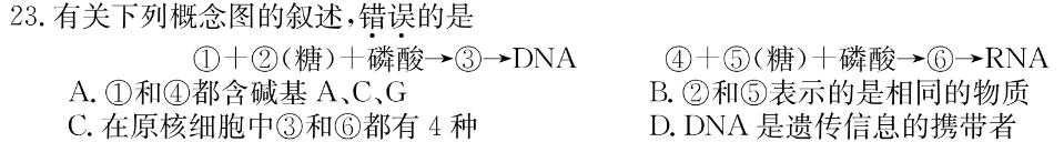 名校联考·2024届高三总复习·月考卷(四)XS4J生物