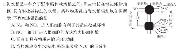 江西省2023-2024学年度七年级上学期高效课堂（三）生物