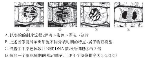 天壹名校联盟·五市十校教研教改共同体·2024届高三12月大联考生物学部分