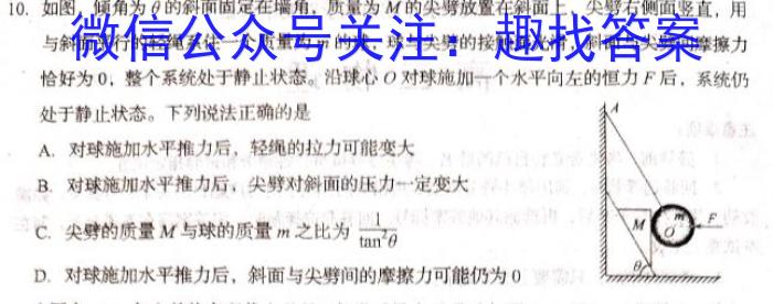 2024年普通高等学校招生统一考试 ·最新模拟卷(一)1物理`