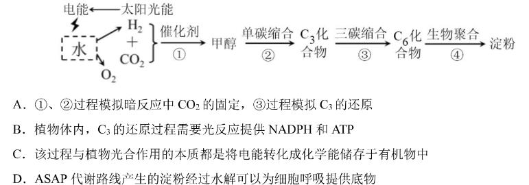 天一大联考 2023-2024学年高中毕业班阶段性测试(四)生物