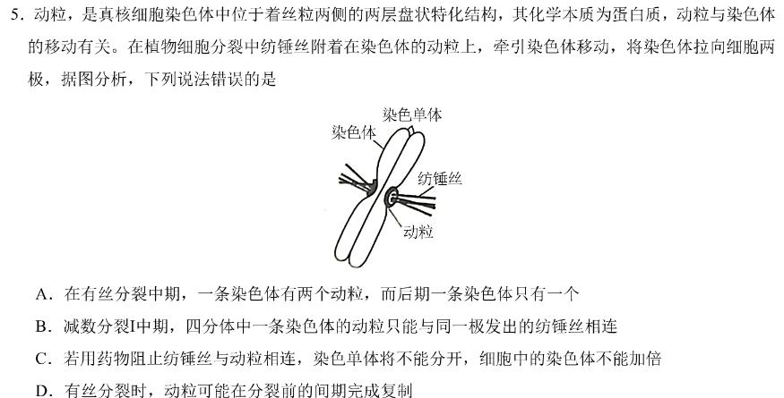 稳派大联考2023-2024学年高二年级上学期12月联考生物