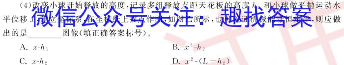 衡水金卷先享题摸底卷2023-2024高三一轮复习摸底测试卷(山东专版)3q物理