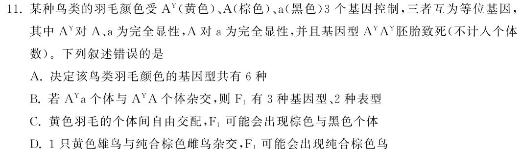 山东省泗水县2023-2024学年第一学期高三年级期中考试生物