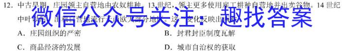 安徽省2024届九年级阶段评估(二)3L R历史