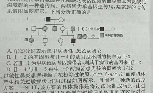 广州市2024届高三年级调研测试（12月）生物学部分