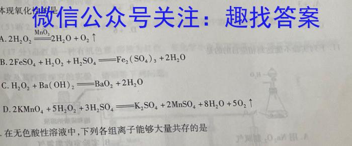 q安徽省合肥市2024届九年级第二次质量调研检测化学