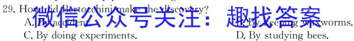 河南省2023-2024学年上学期九年级第三次核心素养检测英语