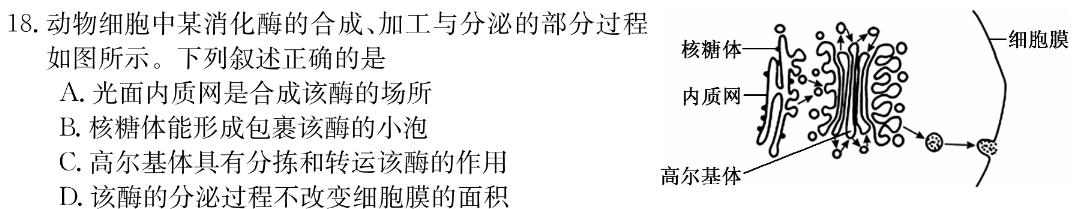 河南省2023-2024学年新乡市高三第一次模拟考试生物学部分