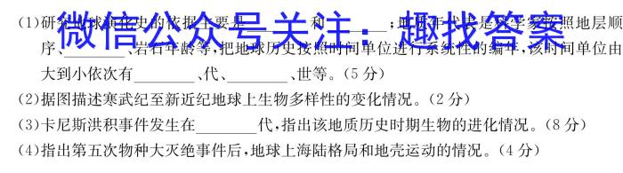 上进联考2024-2025学年高二秋季入学摸底考试地理试卷答案