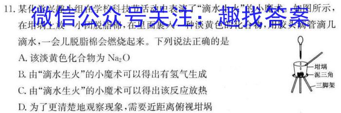 3陕西省2023秋季八年级第二阶段素养达标测试（B卷）巩固卷化学试题