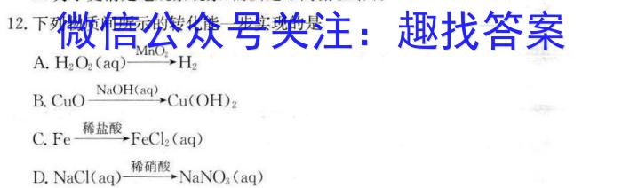 q衡水金卷·广东省衡水金卷·2024届高三年级11月份大联考化学