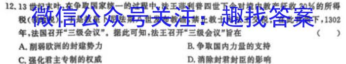 陕西省2023-2024学年度第一学期九年级课后综合作业（三）D历史试卷
