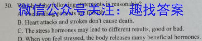 ʦ 2024һָϰ()Ӣx