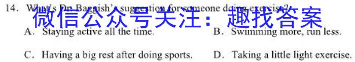 河北省2023-2024学年高二（上）第三次月考英语