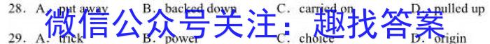 A佳教育·2023年11月高三联考英语