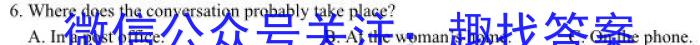 安徽省2023~2024学年度届九年级阶段诊断 R-PGZX F-AH(三)3英语