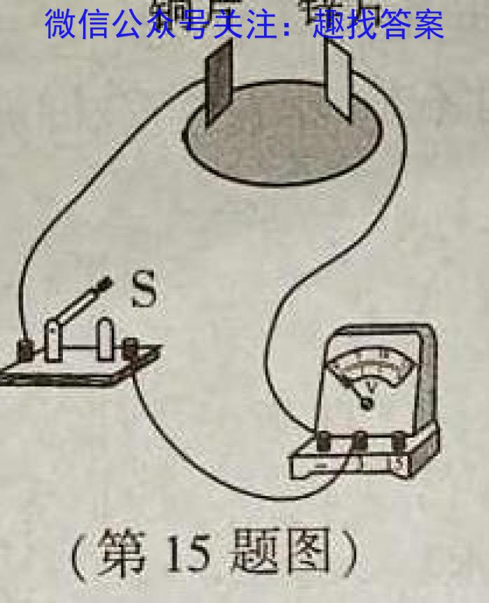 江淮名校教育协作体2023-2024学年上学期高二年级12月阶段联考f物理