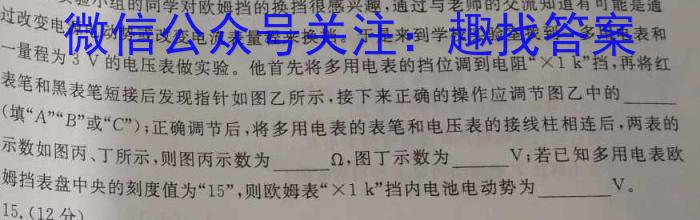 贵州省福泉市第四中学2033-2024学年度第一学期八年级第三次月考测试卷q物理