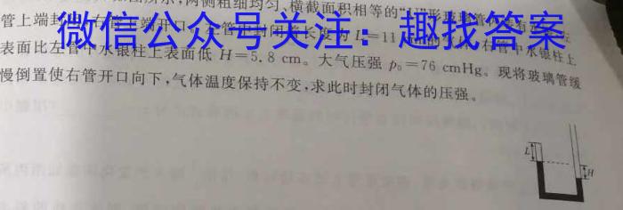 2024届江西省九江市九年级教学质量检测（二）物理`