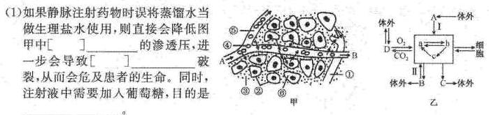 华大新高考联盟2024届高三年级上学期11月联考生物学部分