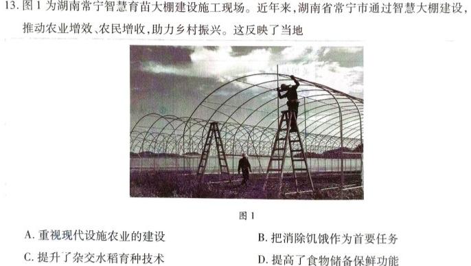 江西省2024届九年级第三次阶段适应性评估 R-PGZX A-JX历史