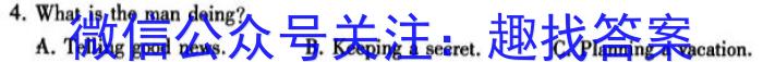 安徽省2023-2024学年度九年级阶段诊断(PGZXF-AH)(三)英语