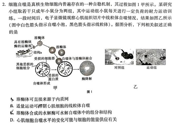 2024年全国高考仿真模拟卷(二)2生物学部分