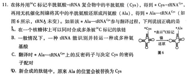 天一大联考 湖南省2024届高三11月联考生物学部分