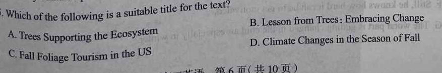 ［陕西大联考］陕西省2024届高三12月联考（12.8） 英语